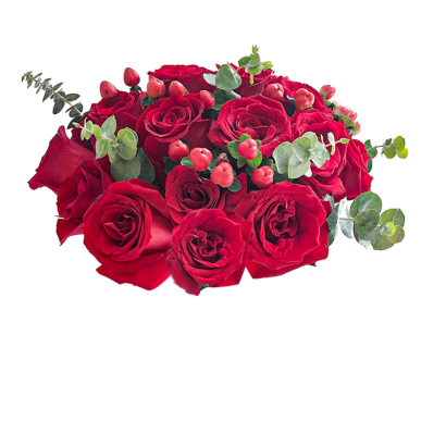 IMG_3654.png IMG_3654.png
