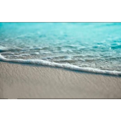 1421543.jpg